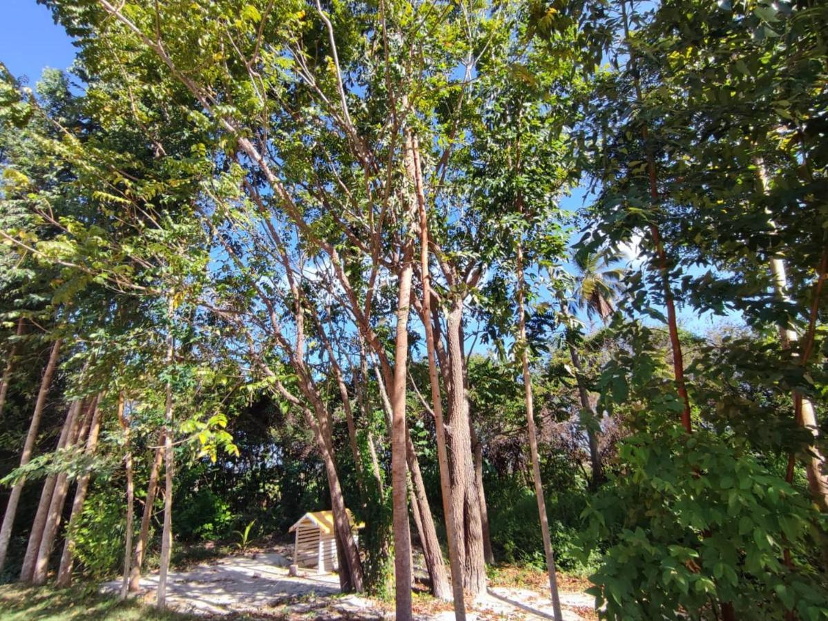 فيلا Casa Nova 2 São José da Coroa Grande المظهر الخارجي الصورة